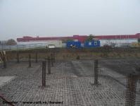 Imagine atasata: Vivalia - Bulbuca - 2015.11.08 - 04.jpg